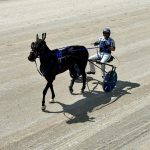 Luka repeats in the Iowa Free For All Trot at Humboldt