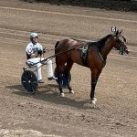 Two-year-old trotters remain perfect at Oskaloosa