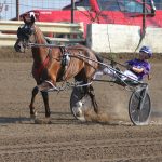 Evening racing highlighted at Bloomfield