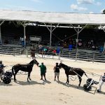 Dead heat in mare division of Iowa-Registered at Humboldt